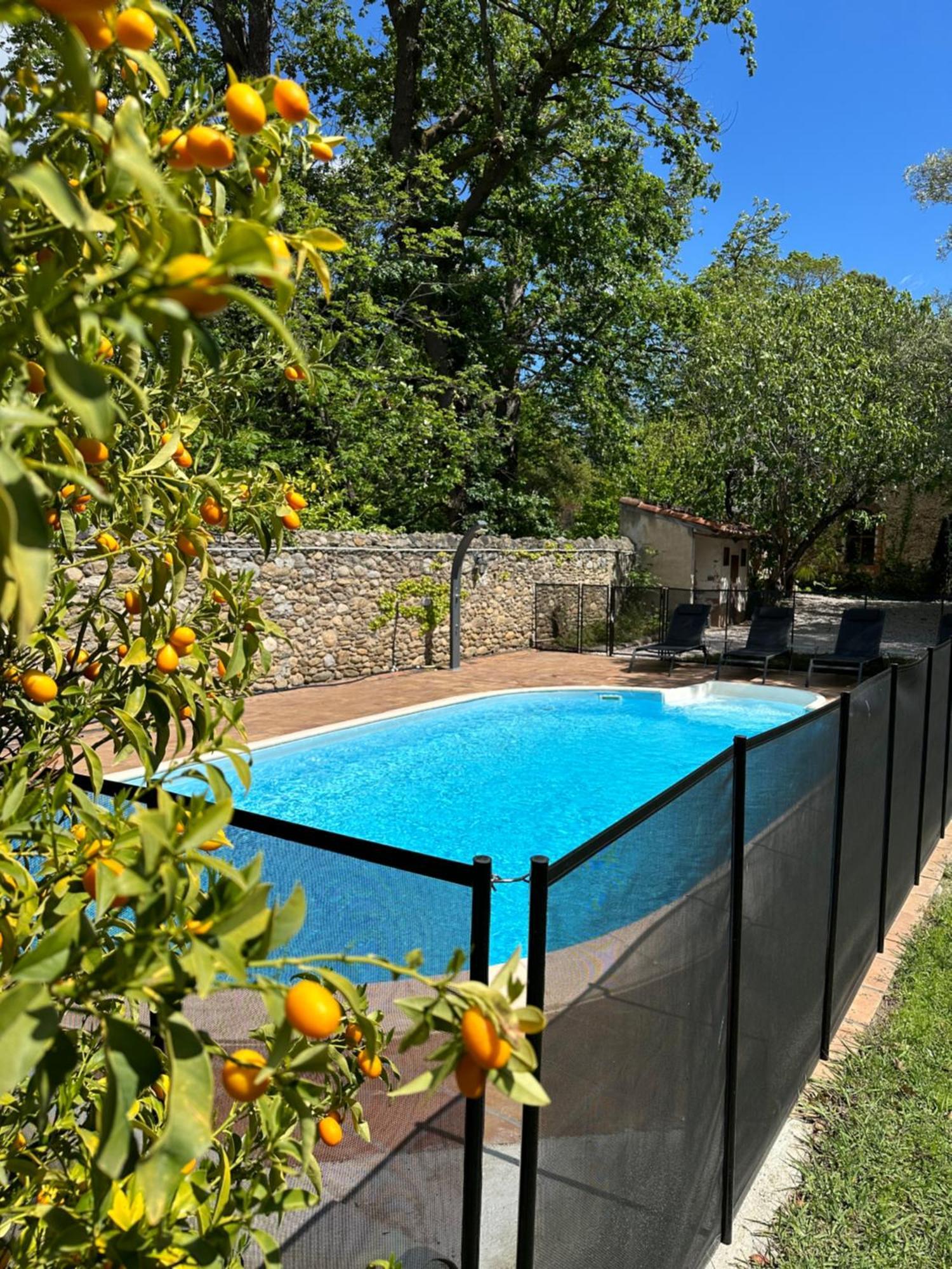 L'Enthousiasme Bed & Breakfast Prades  Exterior photo