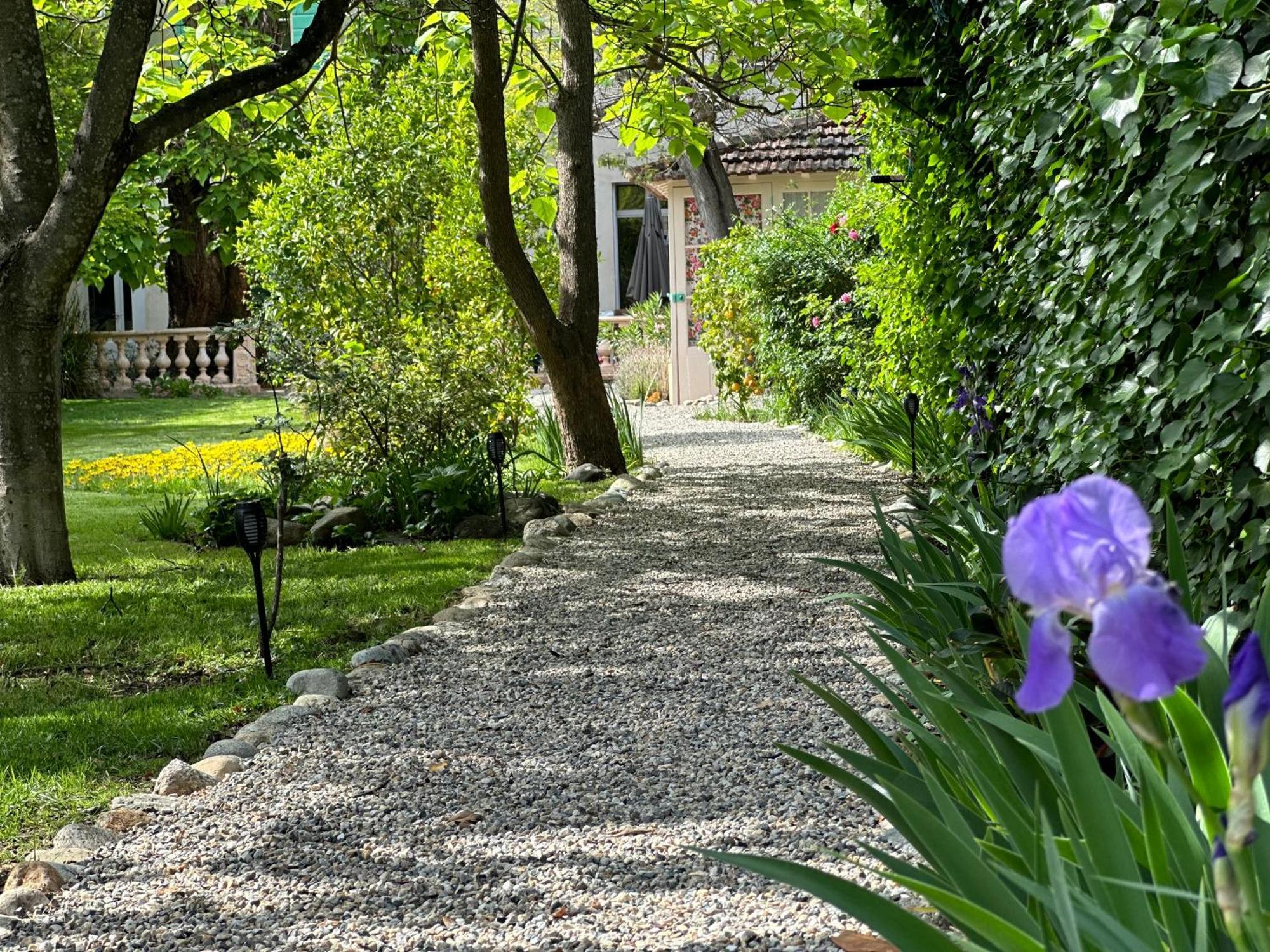 L'Enthousiasme Bed & Breakfast Prades  Exterior photo